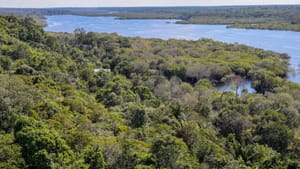 Your web server does not serve mjs files using Nextcloud Hub 8